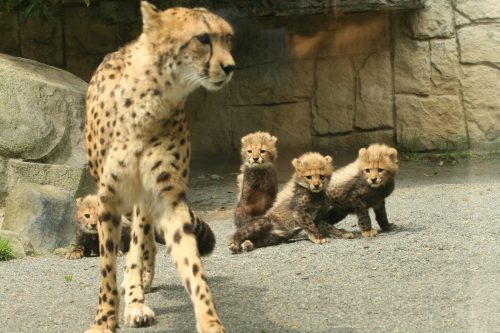 family_080614.jpg