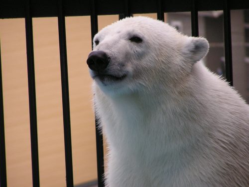 pirika_080523.jpg