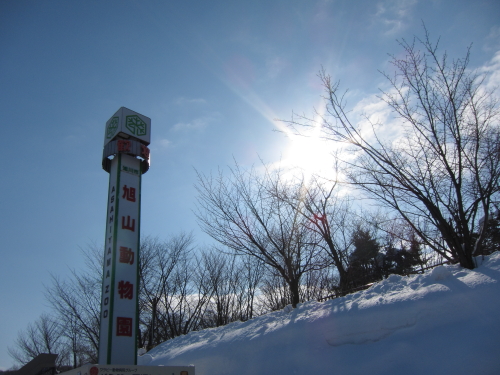 sanpo_110223_1.JPG