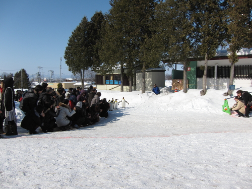 sanpo_110223_10.JPG