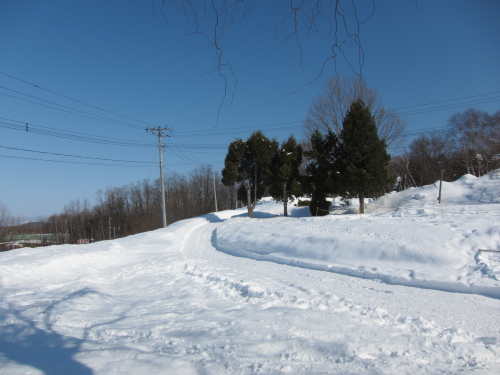 sanpo_110223_2.JPG