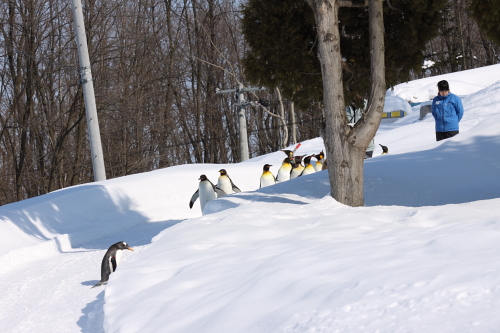 sanpo_110223_3.JPG