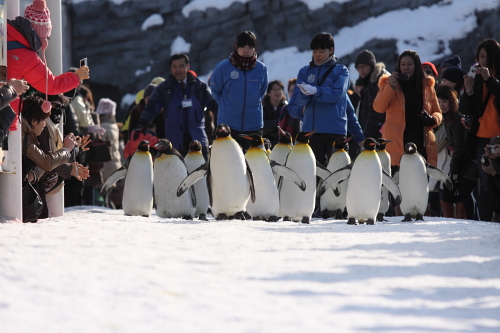 sanpo_110223_8.JPG